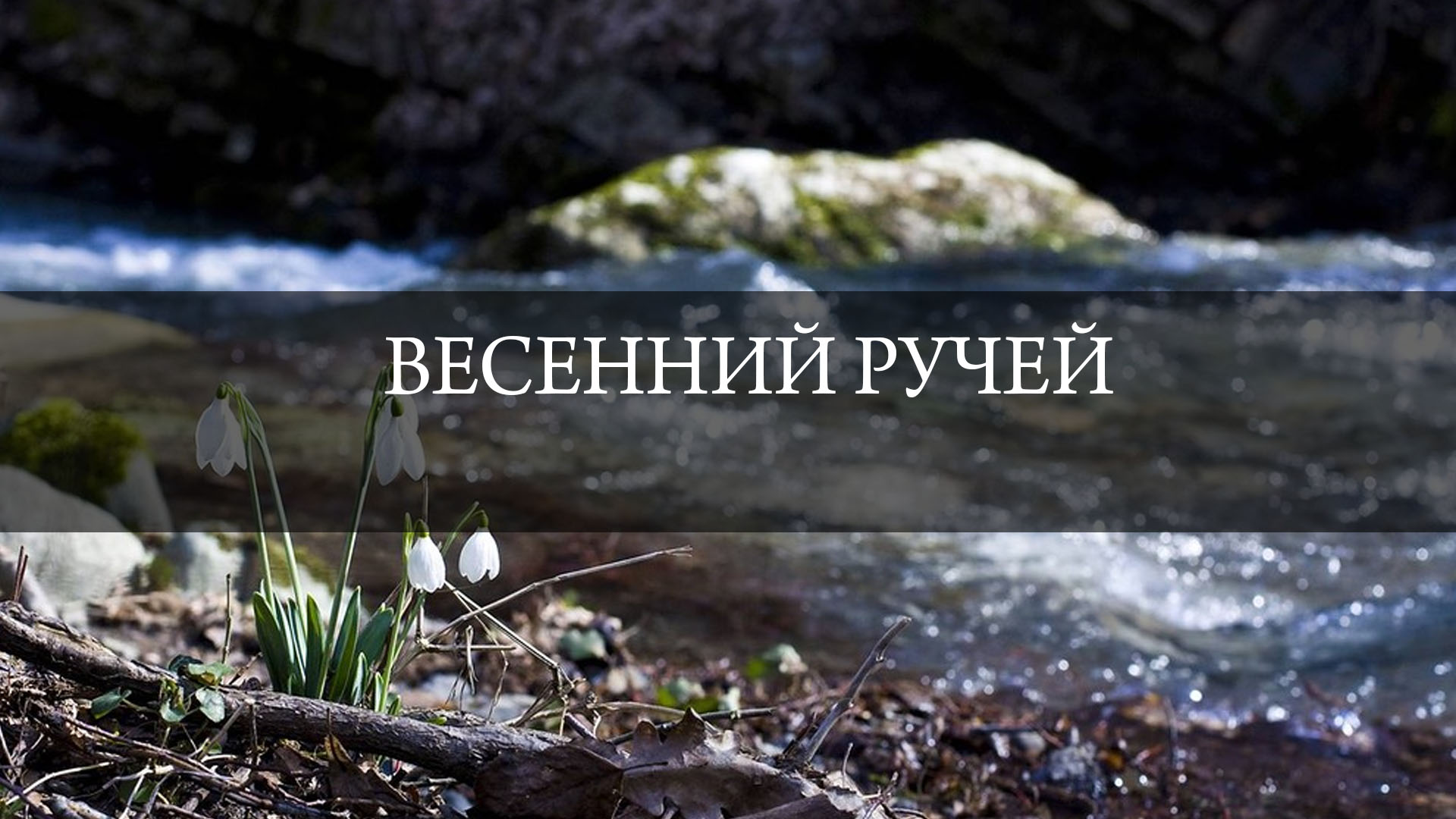 Весенний ручей