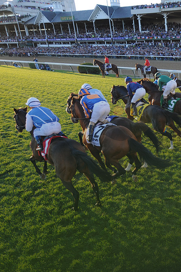 Скачки. "Melbourne Cup". Трансляция из Австралии