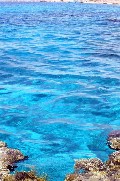 Красное море