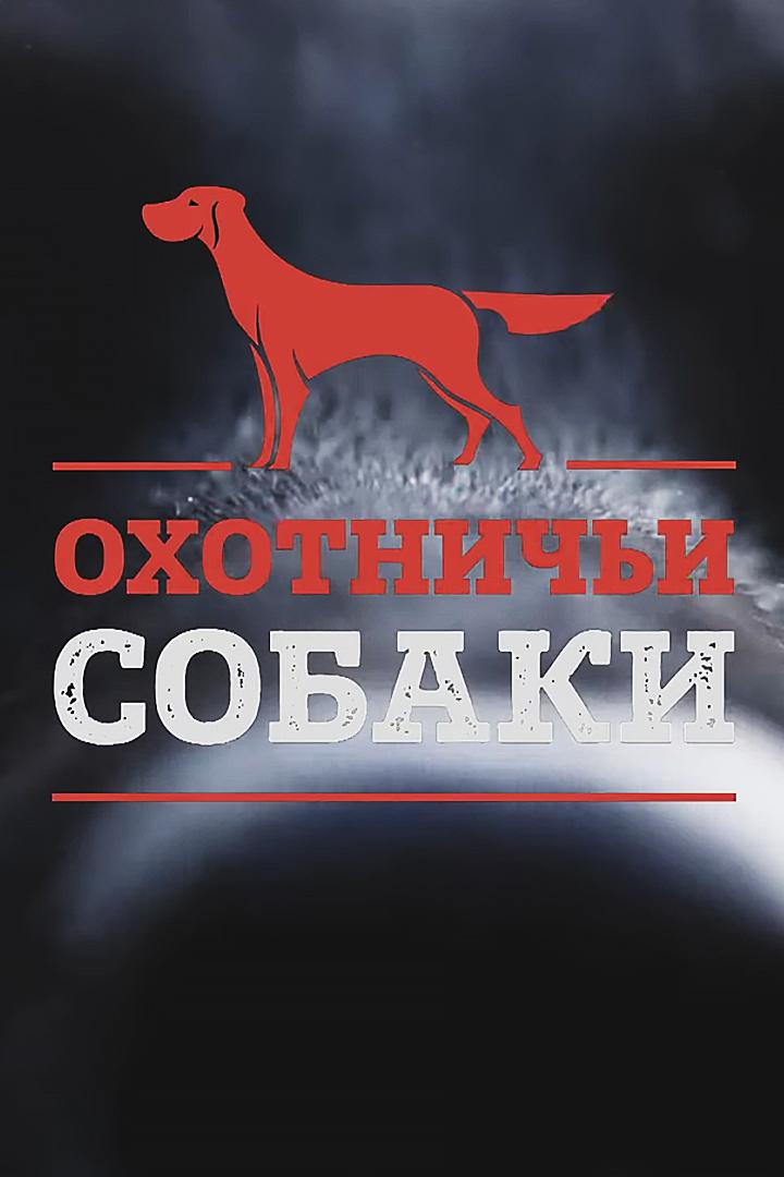 Охотничьи собаки