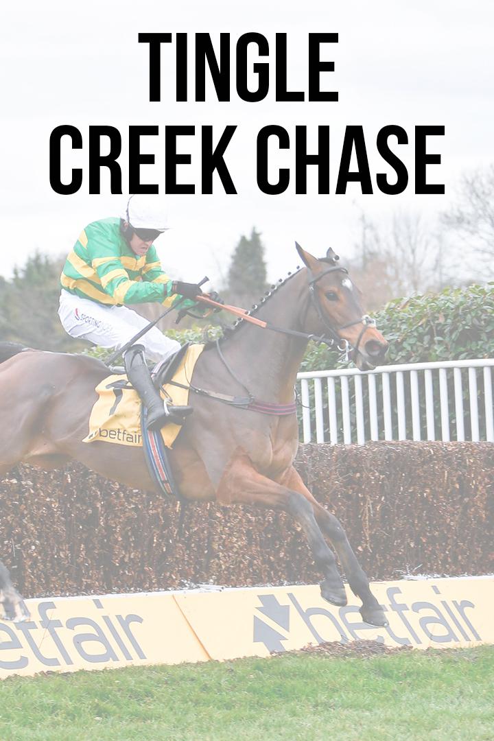 Стипль -чез. "Tingle Creek Chase". Трансляция из Англии