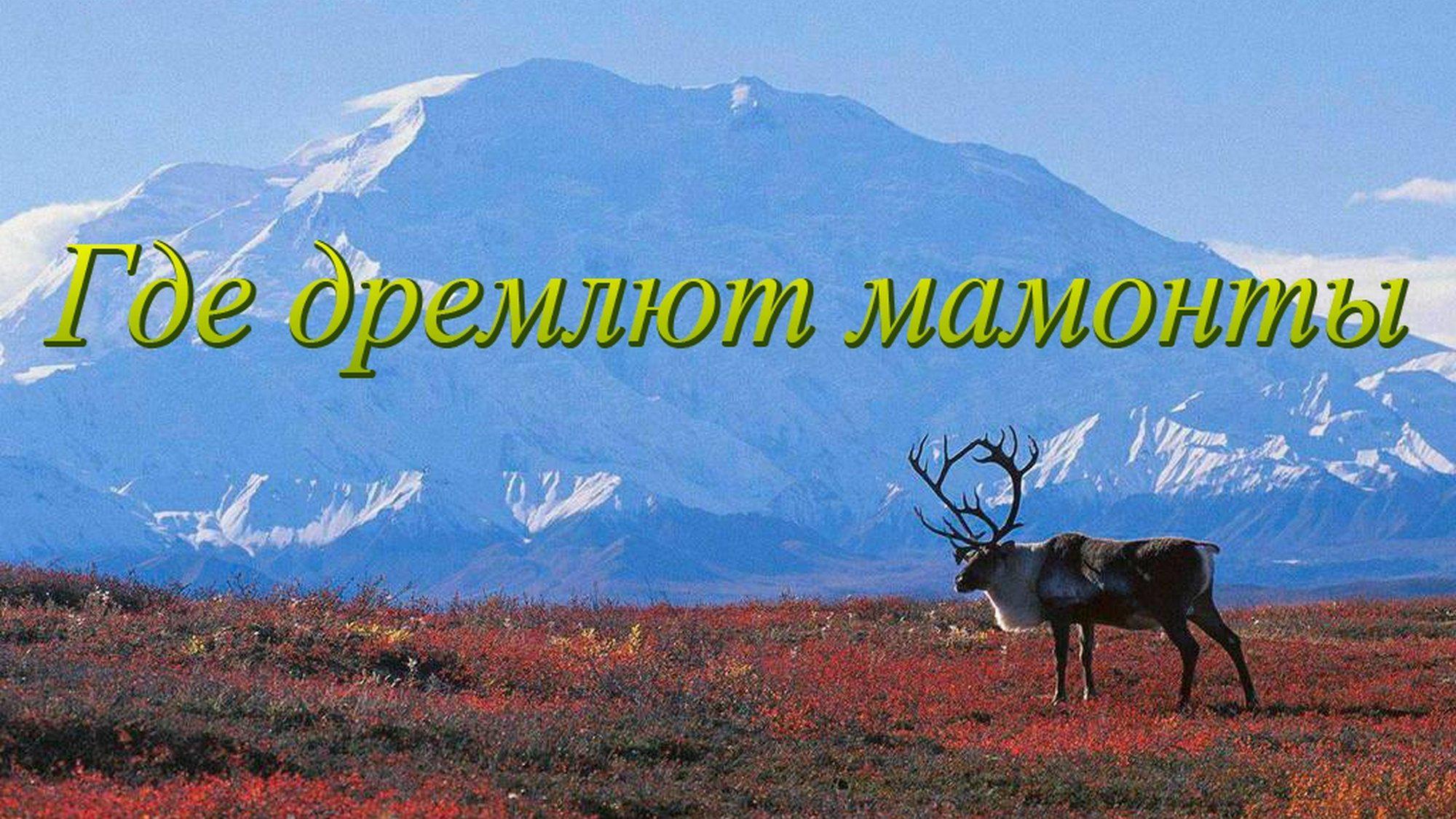 Где дремлют мамонты