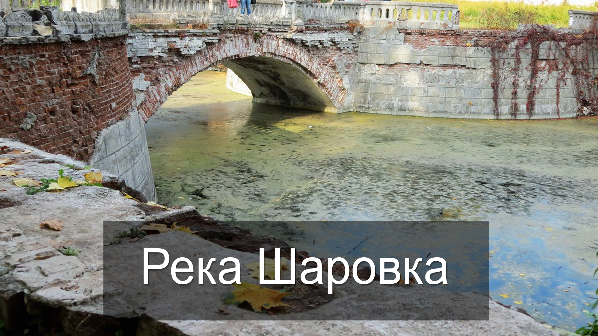 Река Шаровка