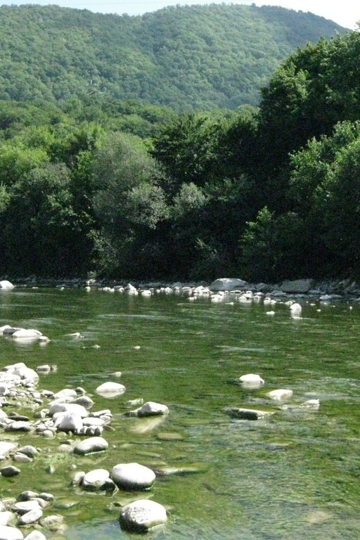Река Аша