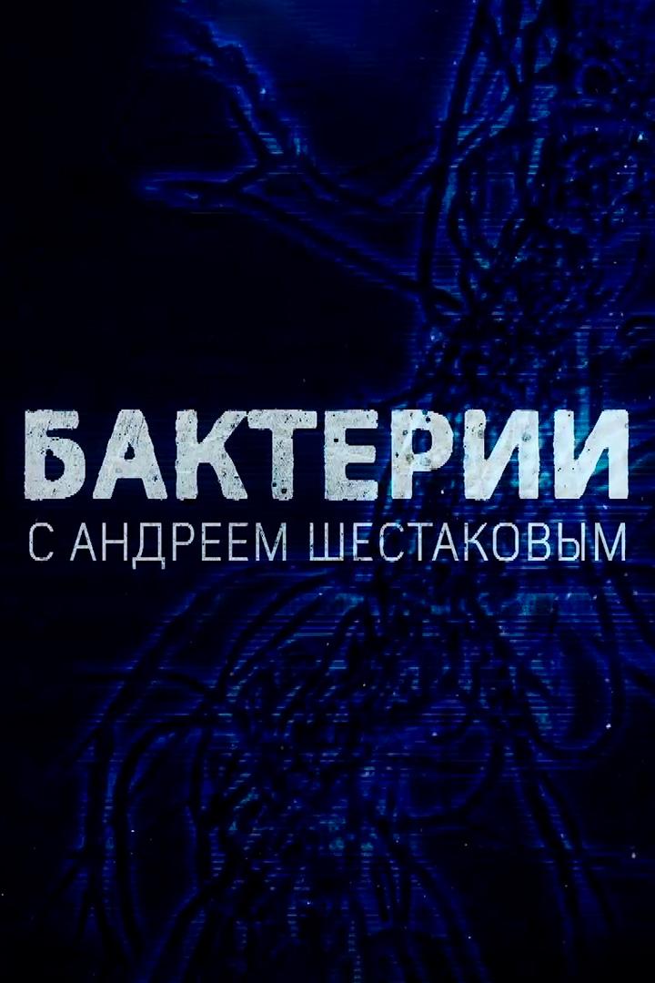 Бактерии. Какая польза от микробов?