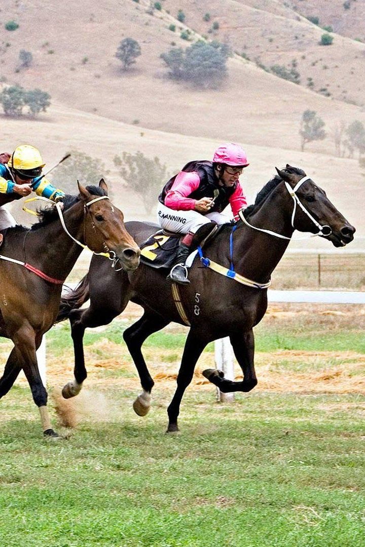 Бега. "Prix d'Amérique Opodo". Трансляция из Франции