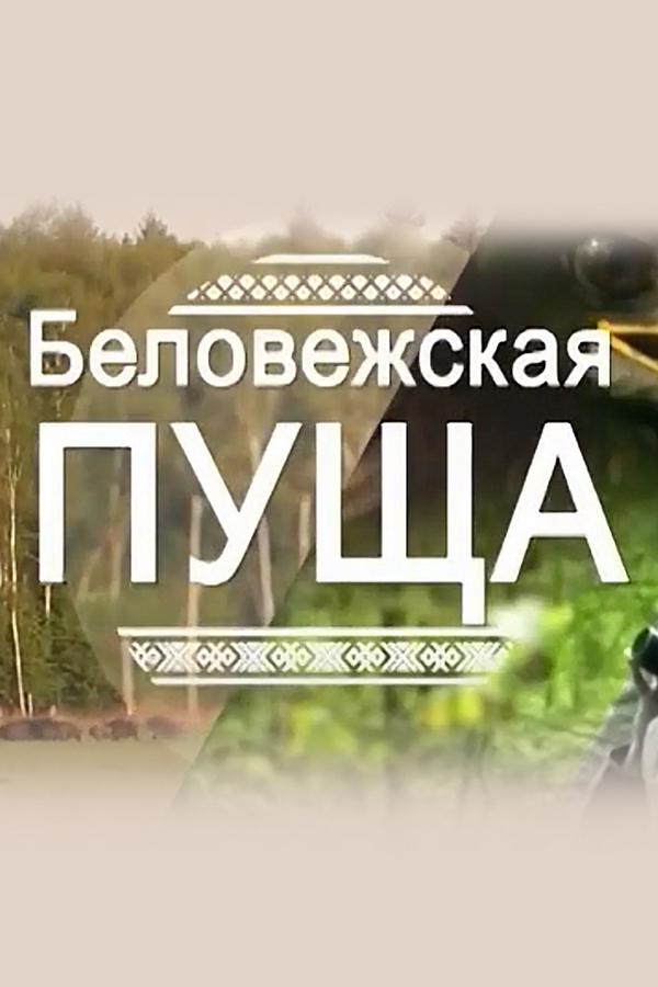 Беловежская пуща