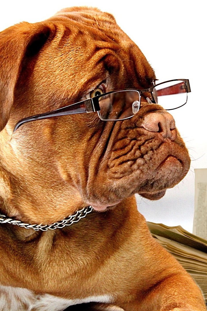 Домашнее обучение