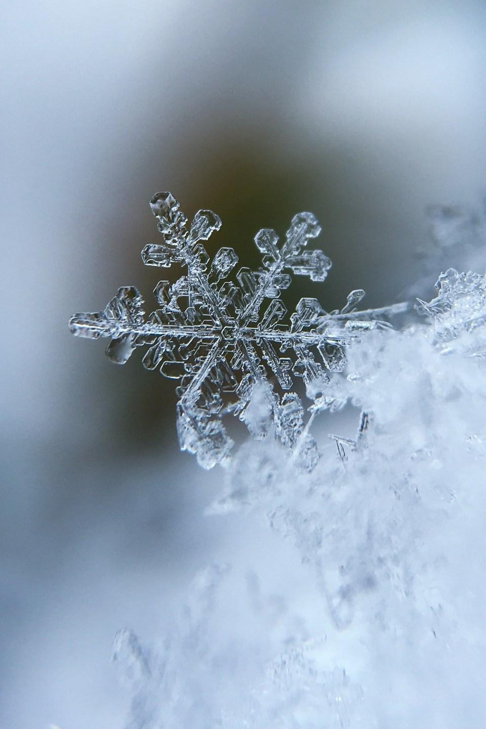 Закрытие зимнего сезона