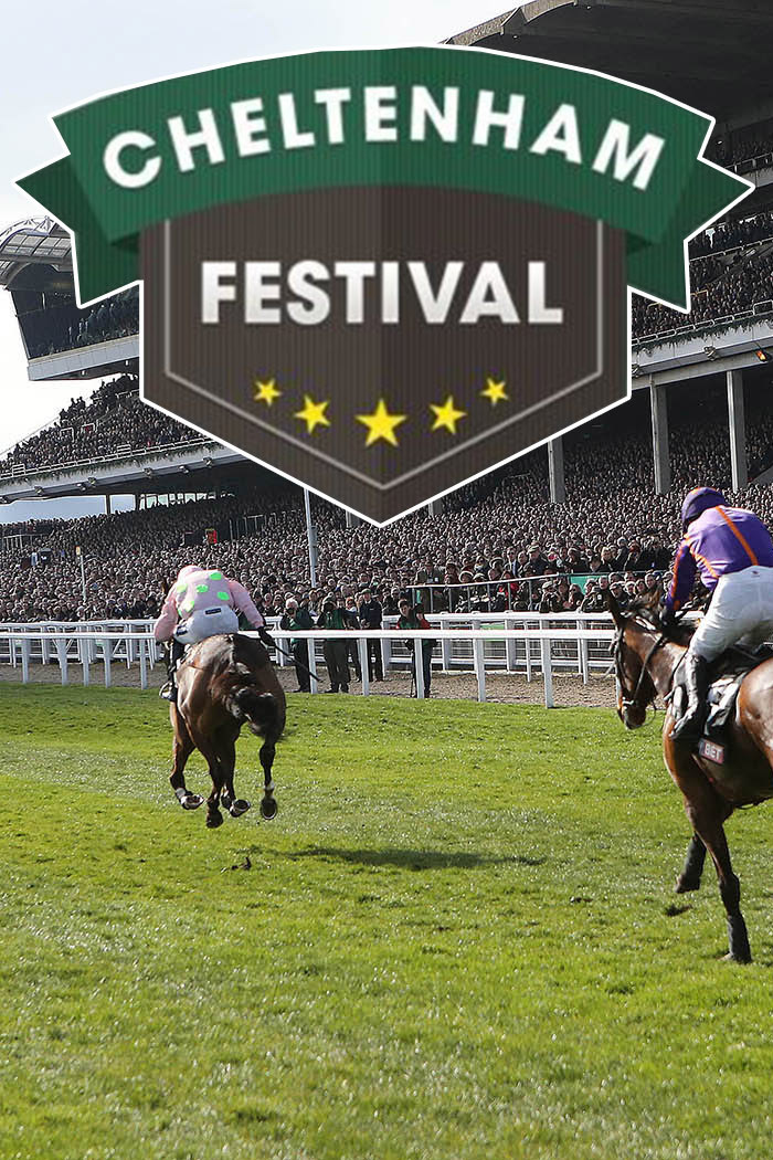 Стипль-чез. "Cheltenham Festival". Трансляция из Англии