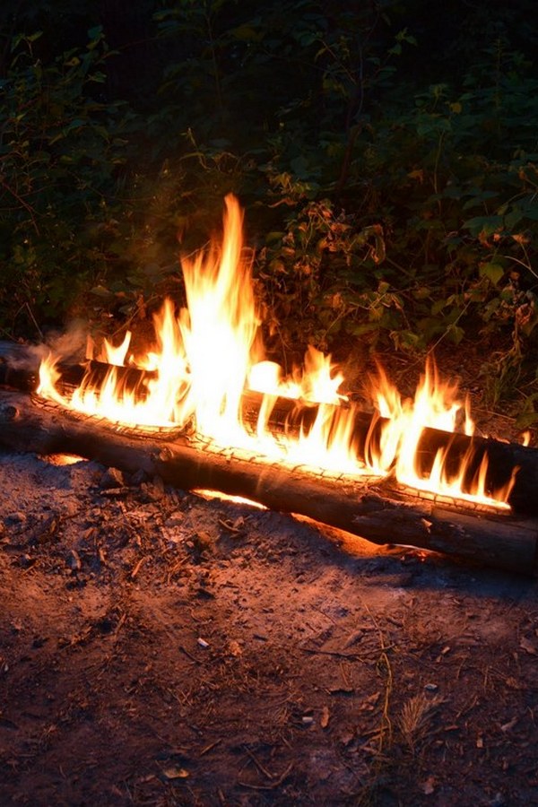 Первая нодья