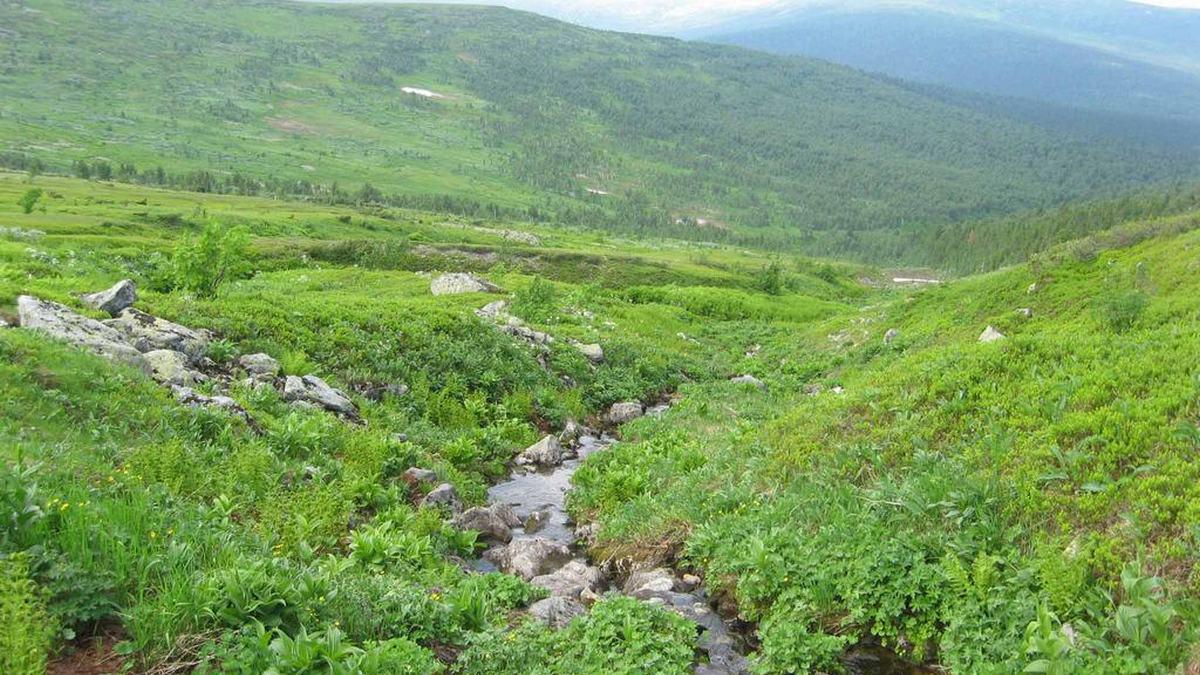 Перевал Дятлова для галочки
