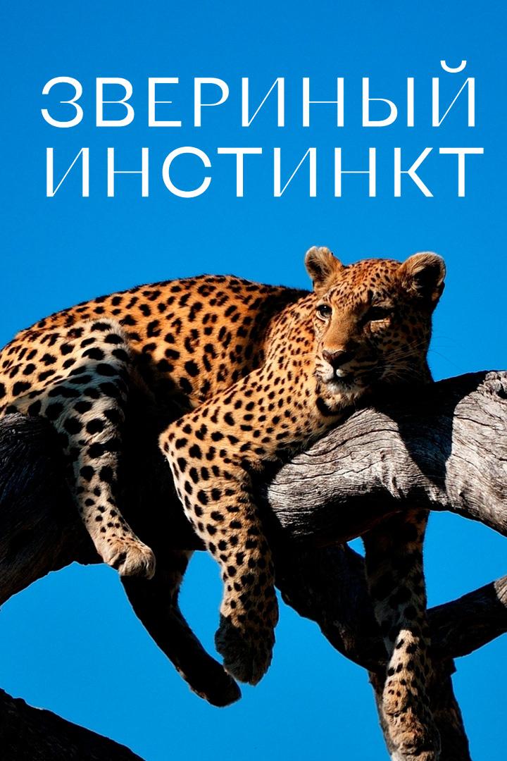 Звериный инстинкт