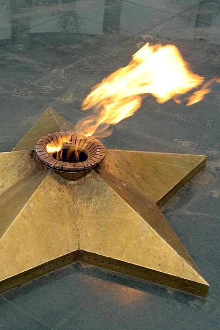 Свидетели войны