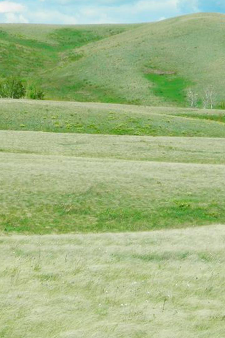 Буртинская степь
