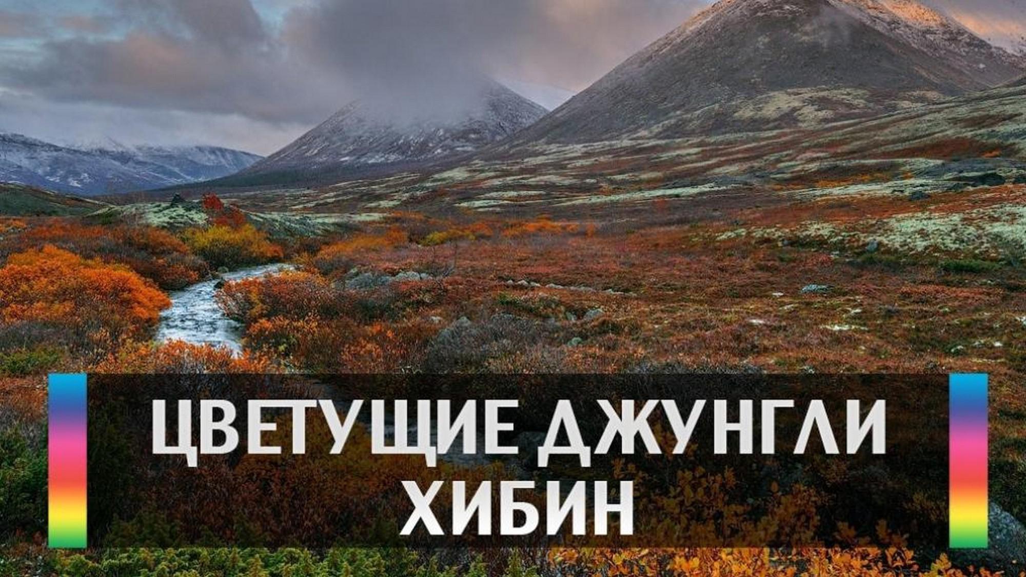 Цветущие джунгли Хибин