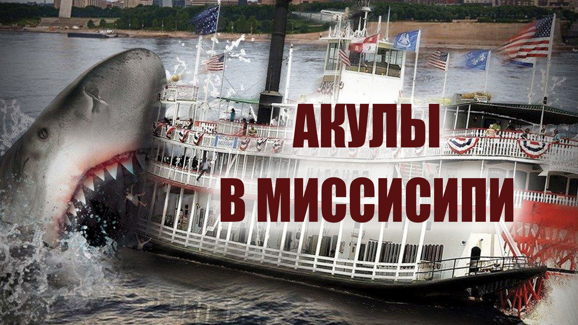 Акулы в Миссисипи