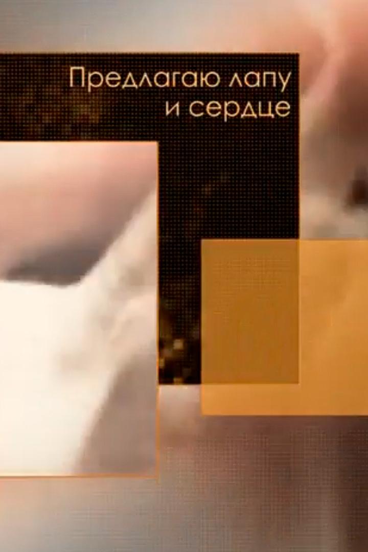 Предлагаю лапу и сердце