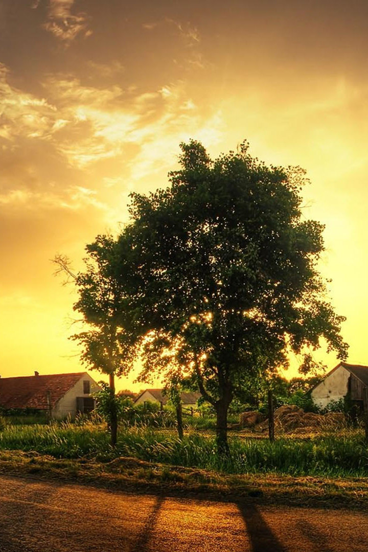 Деревня. Инструкция для чайников