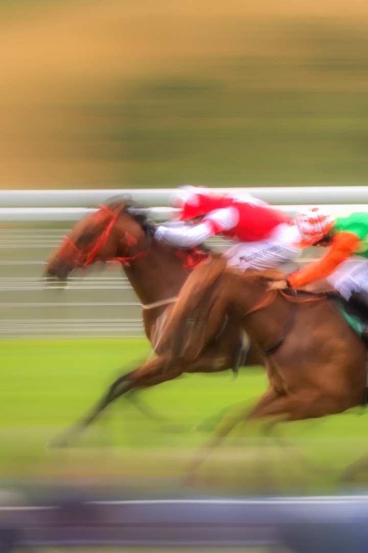 Скачки. "Coolmore Nunthorpe Stakes". Трансляция из Англии