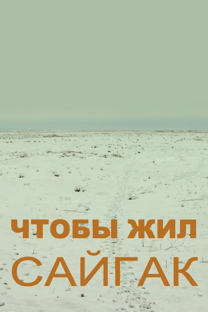 Чтобы жил сайгак