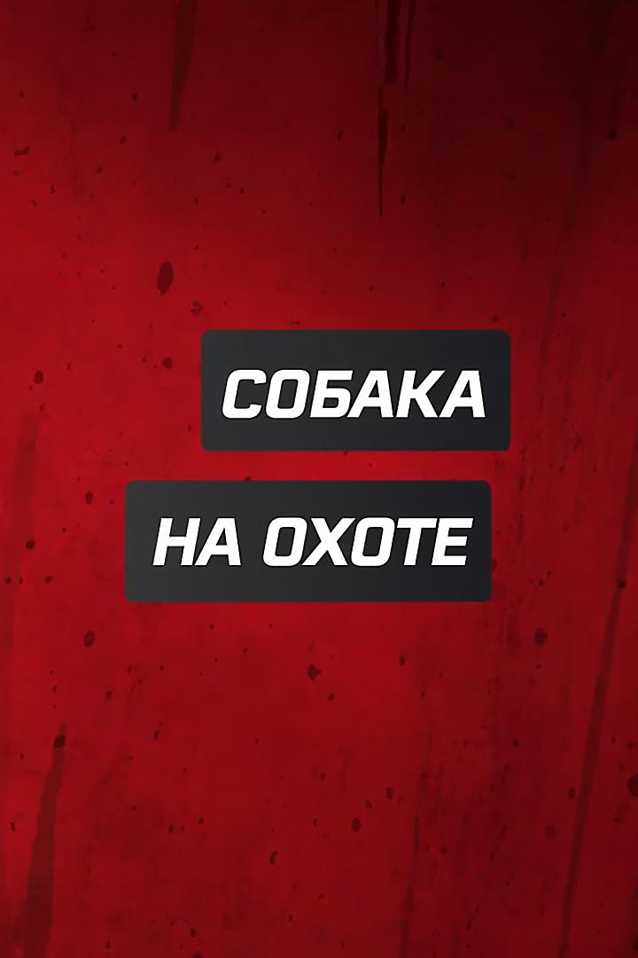 Собака на охоте