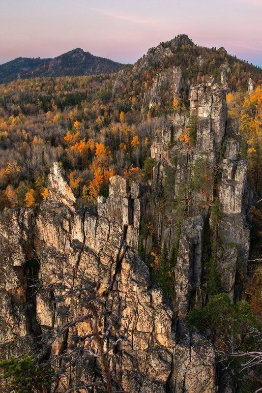 Инзерские зубчатки