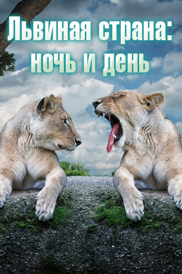 Львиная страна: ночь и день
