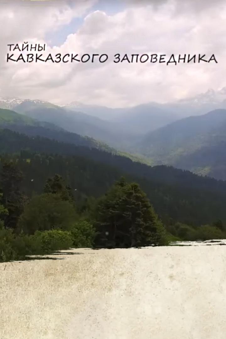 Тайны Кавказского заповедника