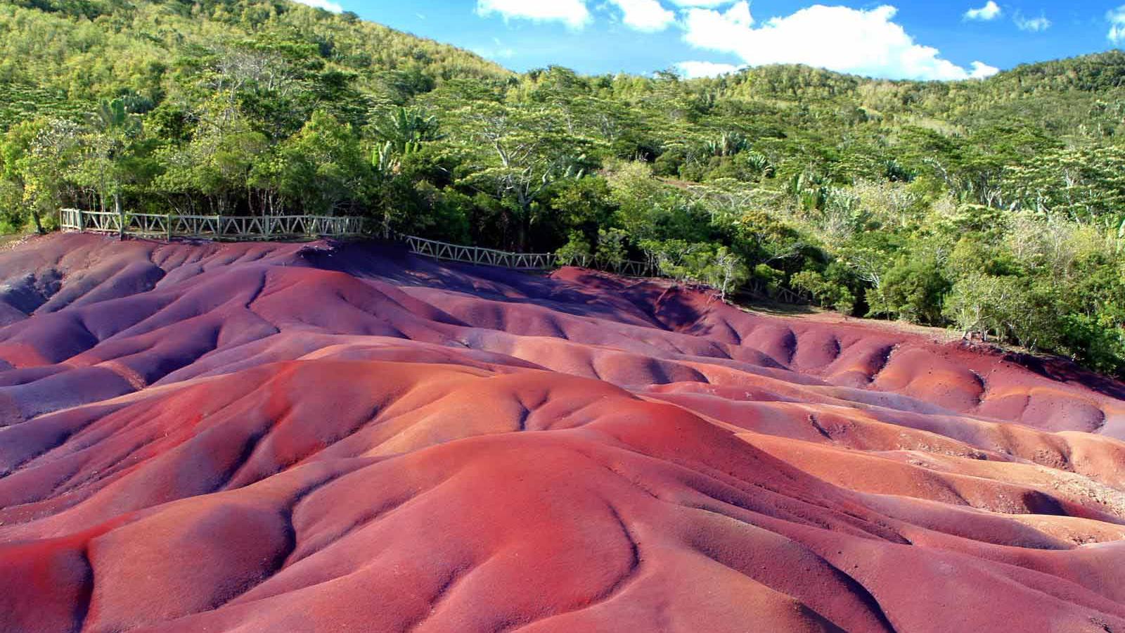 Кто раскрасил песок Шамарель
