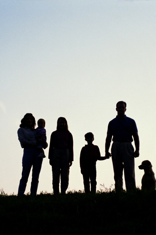 Проект "Svit Family"