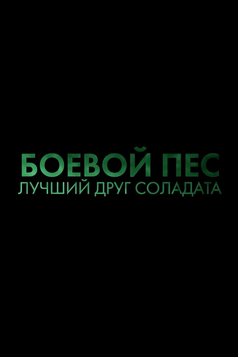 Боевой пёс. Лучший друг солдата
