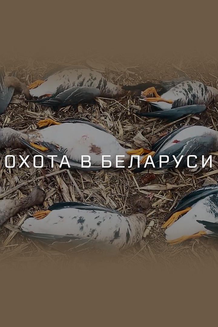Охота в Беларуси