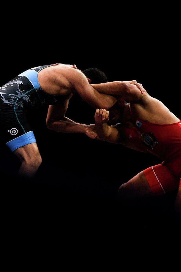 Кубок Федерации по борьбе хапсагай