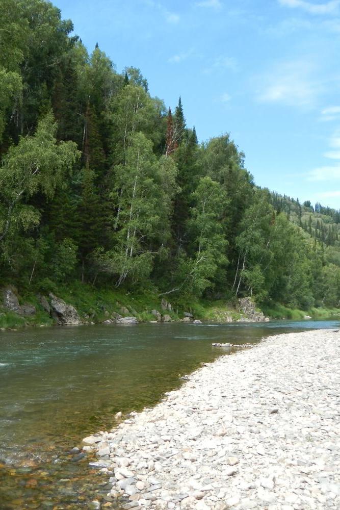 Река Белая