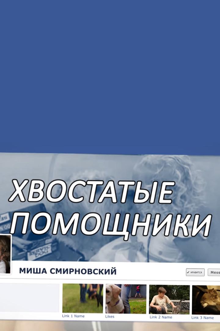 Хвостатые помощники