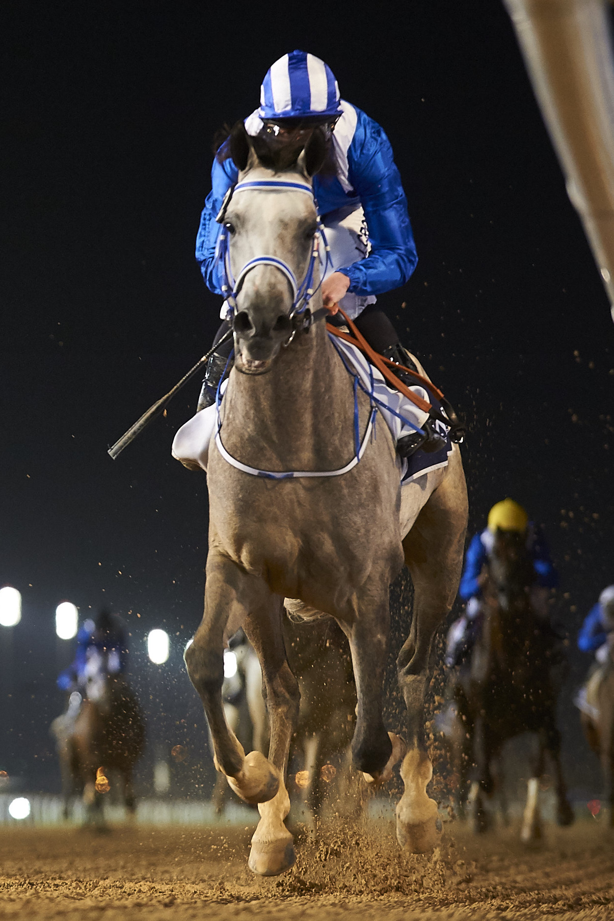 Скачки. "Dubai World Cup Carnival". 6-й этап. Трансляция из ОАЭ