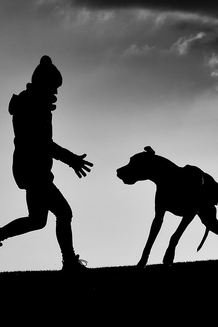 Лучший друг