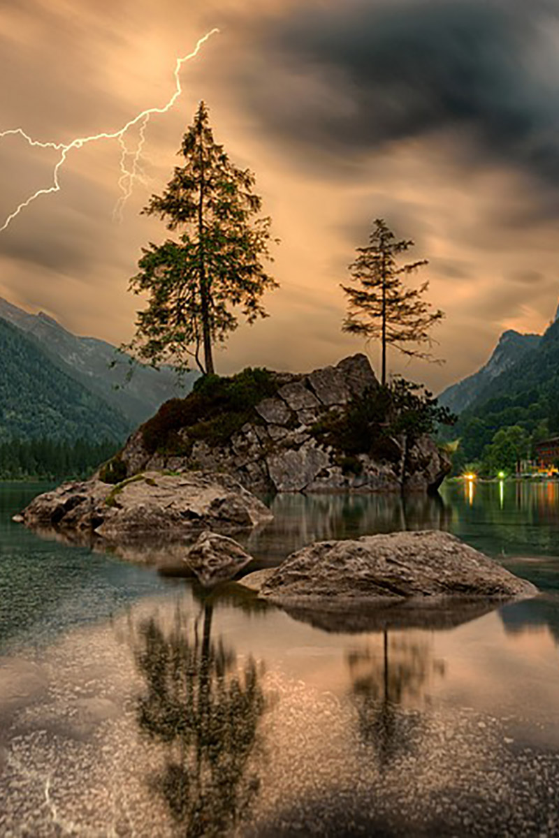Песня дерева