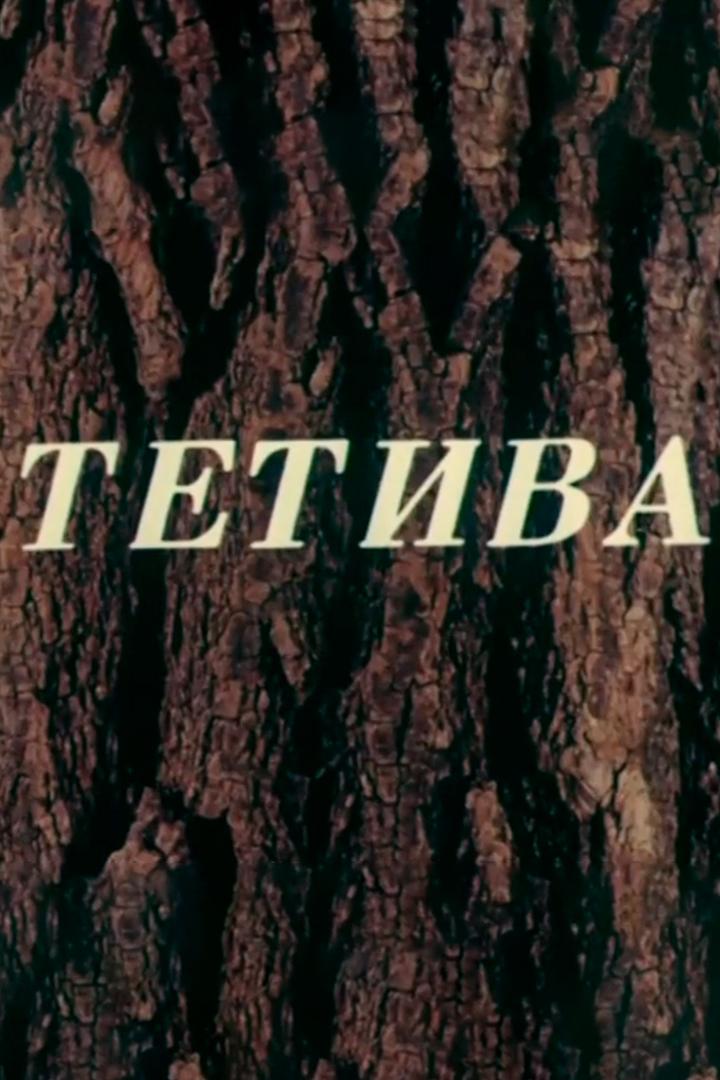 Тетива
