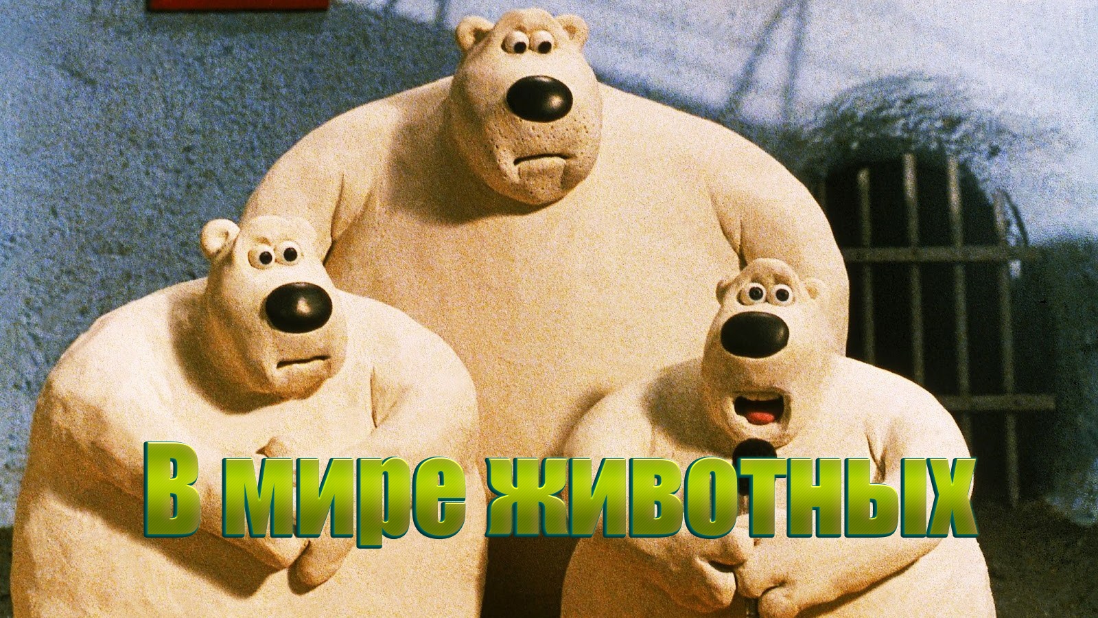 В мире животных