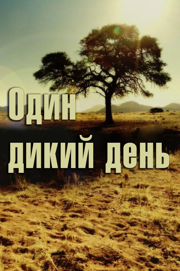 Один дикий день