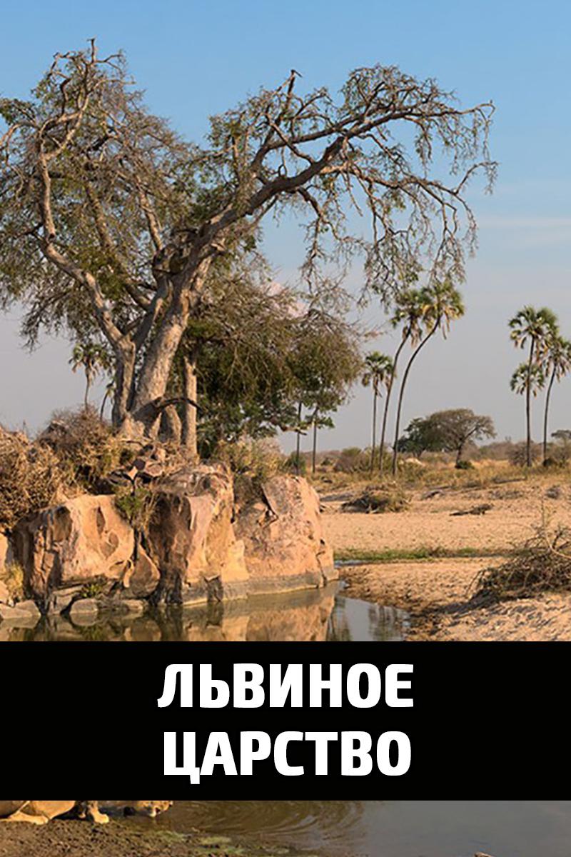 Львиное царство