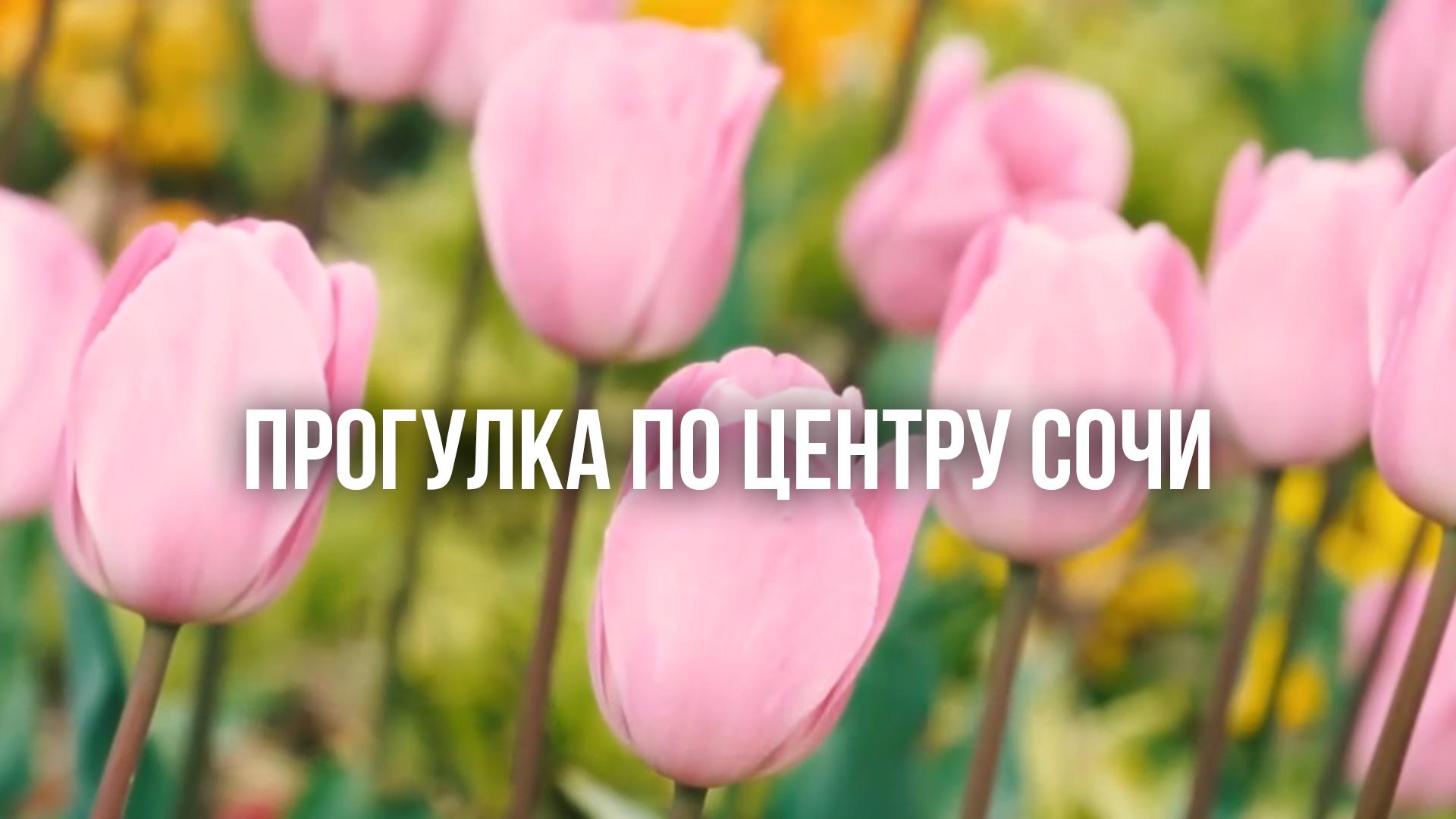 Прогулка по центру Сочи