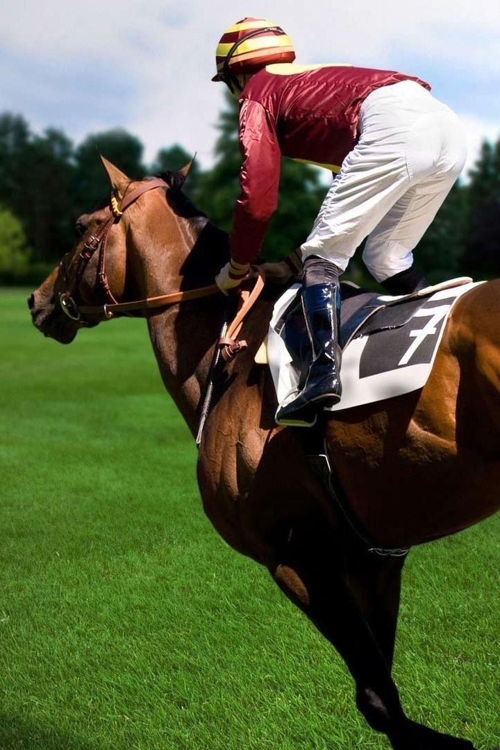 Скачки. "Кубок шахтёров". Большой Всероссийский приз Дерби. Трансляция из Москвы