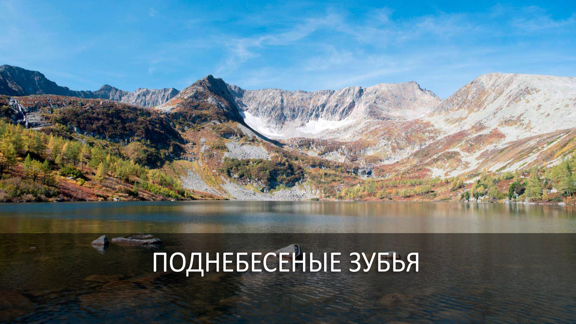 Поднебесеные зубья