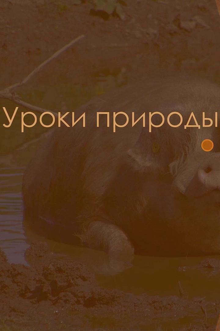 Уроки природы