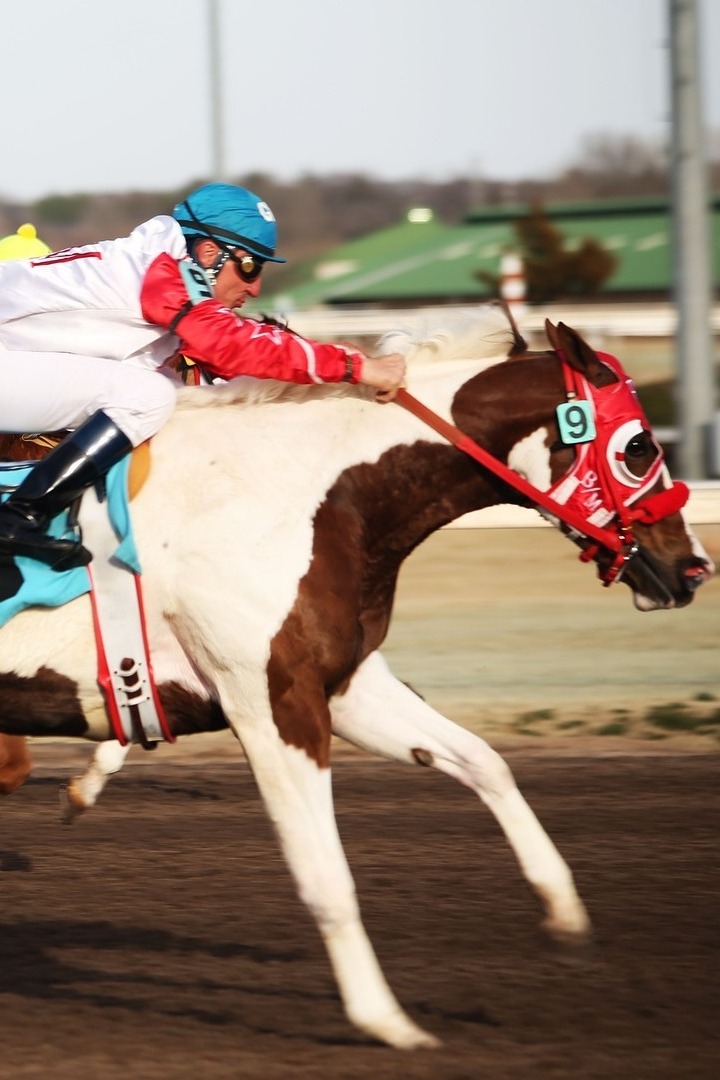 Скачки. "The QIPCO Champion Stakes". Трансляция из Англии