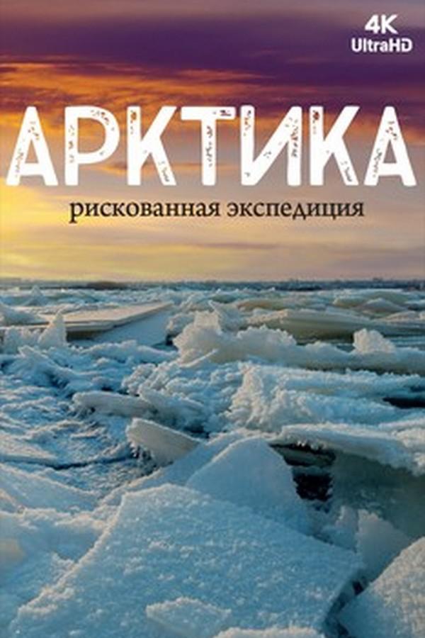 Арктика. Рискованная экспедиция