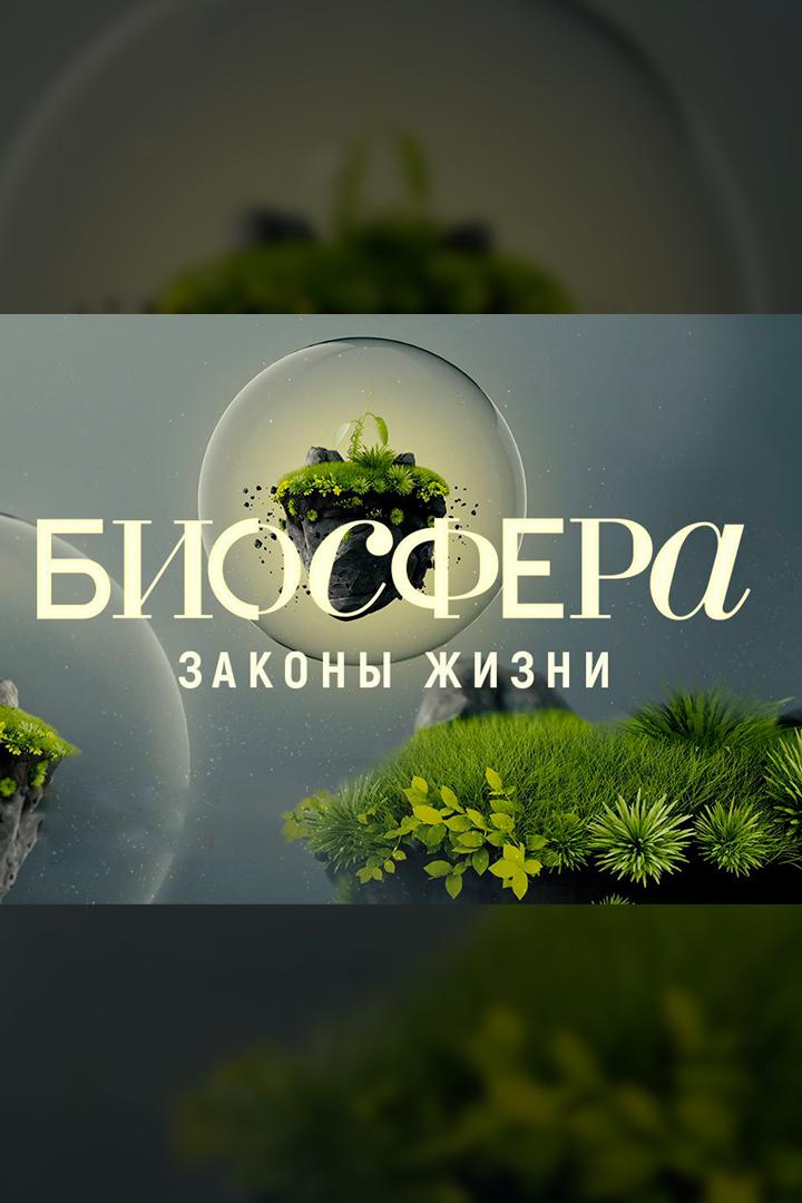 Биосфера. Законы жизни